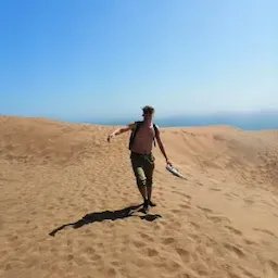 Avatar