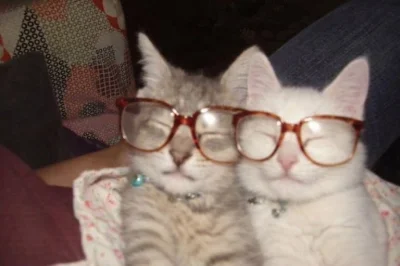 Avatar de eleyere.store