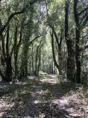 Avatar de dalelavuelta