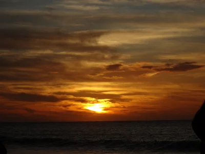 Avatar de martinahenderson