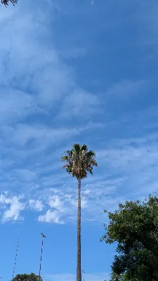 Avatar de ferialaplayosa