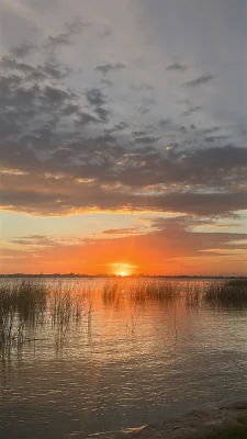 Avatar de vintageselectionis