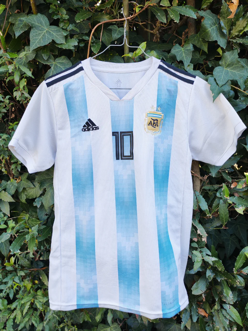 Ropa deportiva Argentina - imagen 1