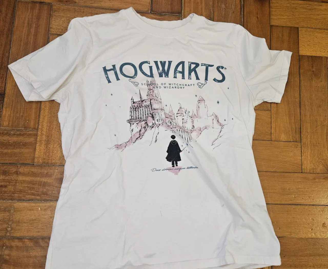 Remera Renner - imagen 1