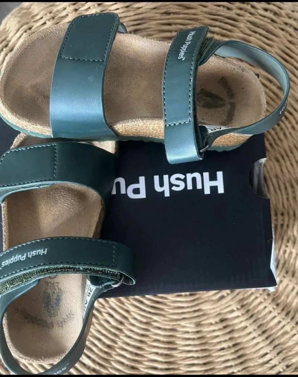 Hush Puppies · Talle AR 26