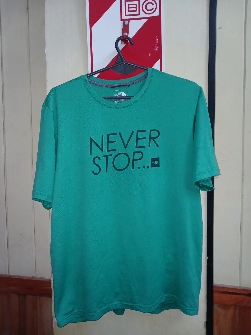 Remera The North Face - imagen 1