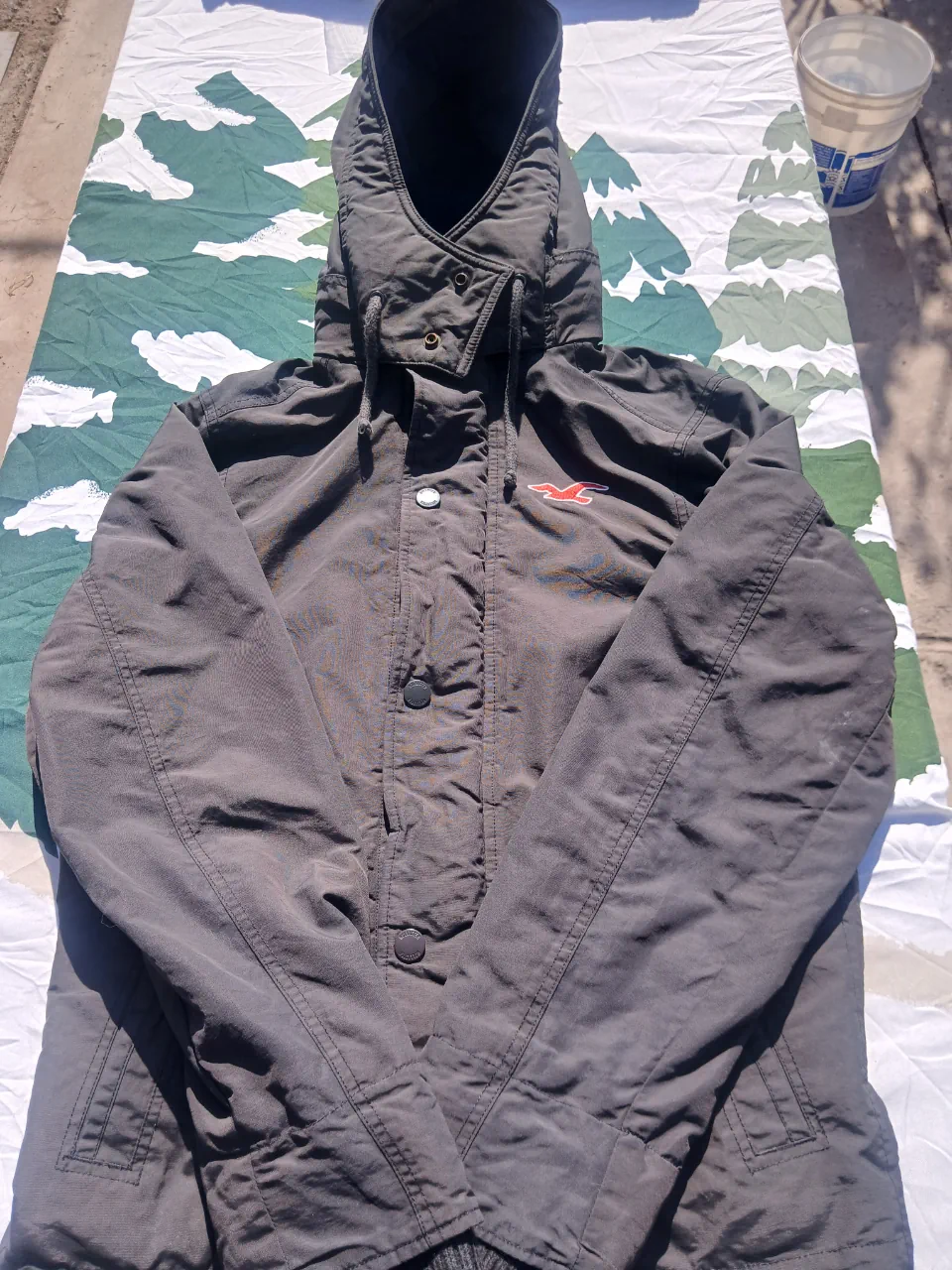 Campera Hollister · Talle M