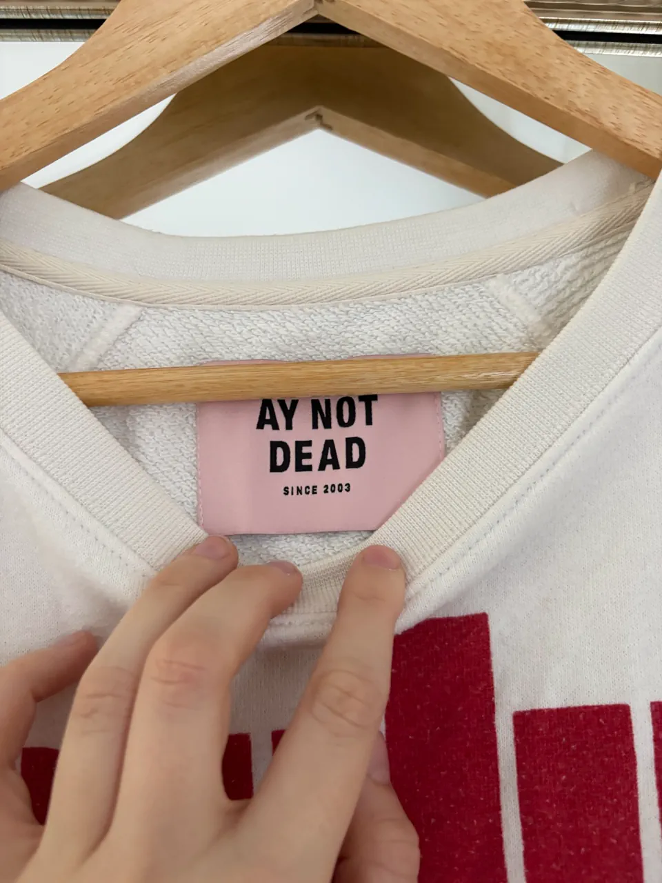 Buzo Ay Not Dead - imagen 7