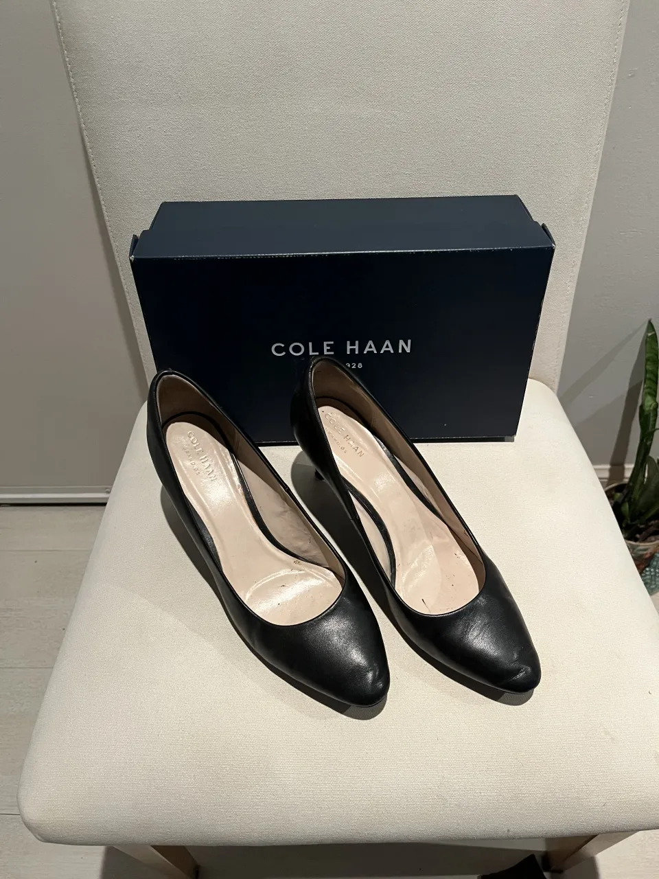 Cole Haan · Talle AR 38