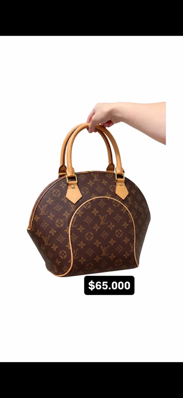Bolso Louis Vuitton - imagen 1