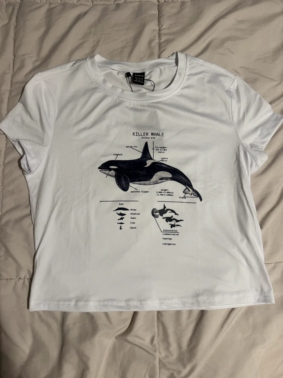 Remera Romwe - imagen 1