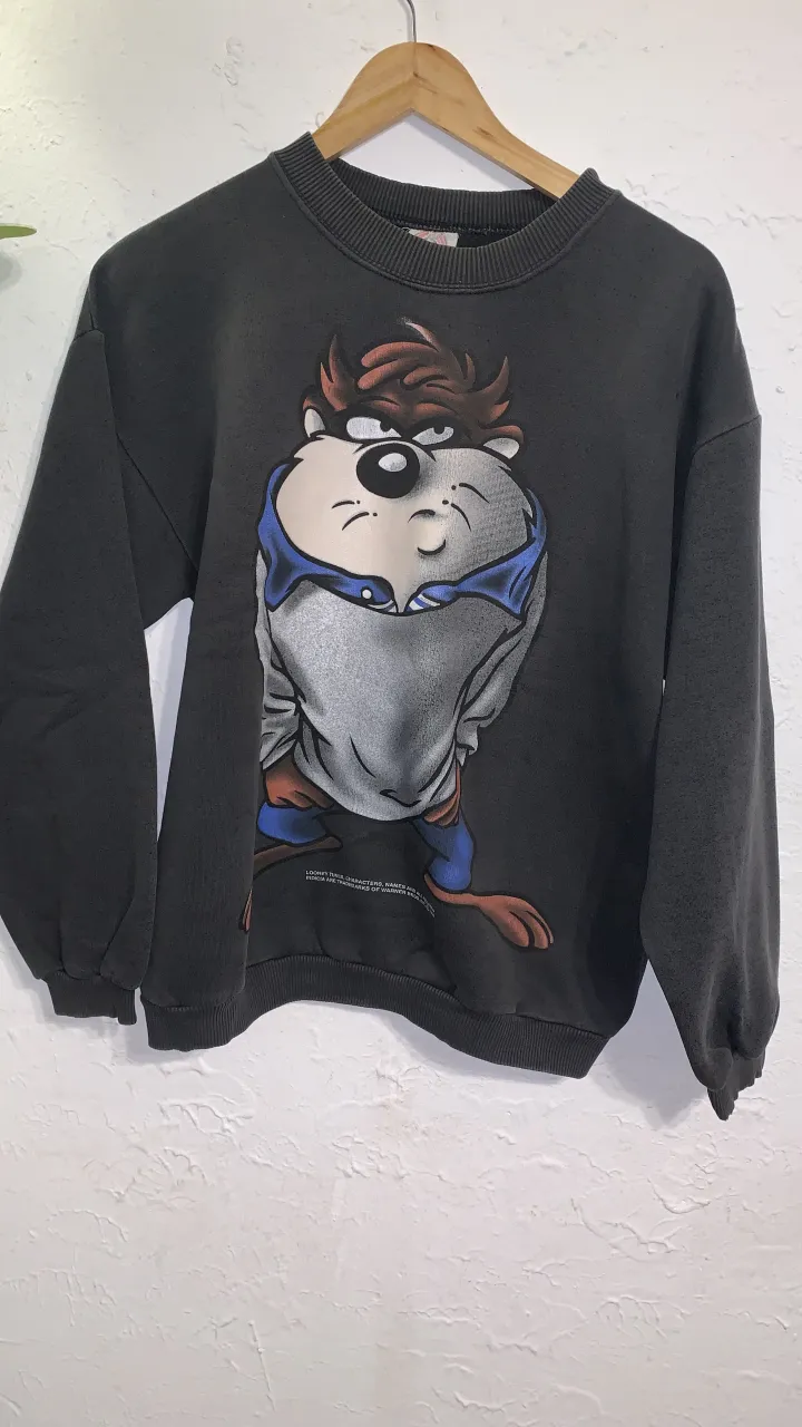 Buzo Looney Tunes - imagen 1
