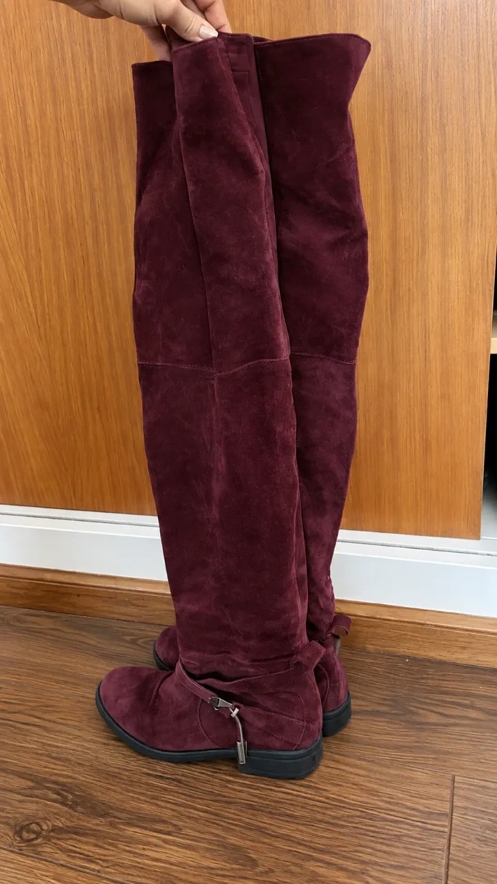 Sarkany · Talle AR 39