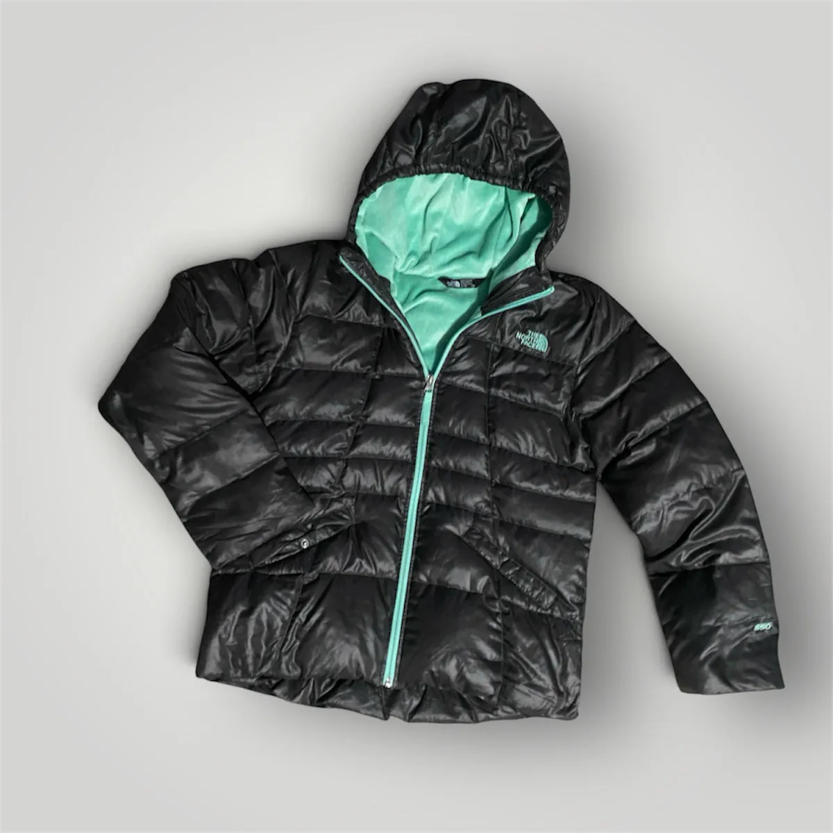 Campera The North Face - imagen 1