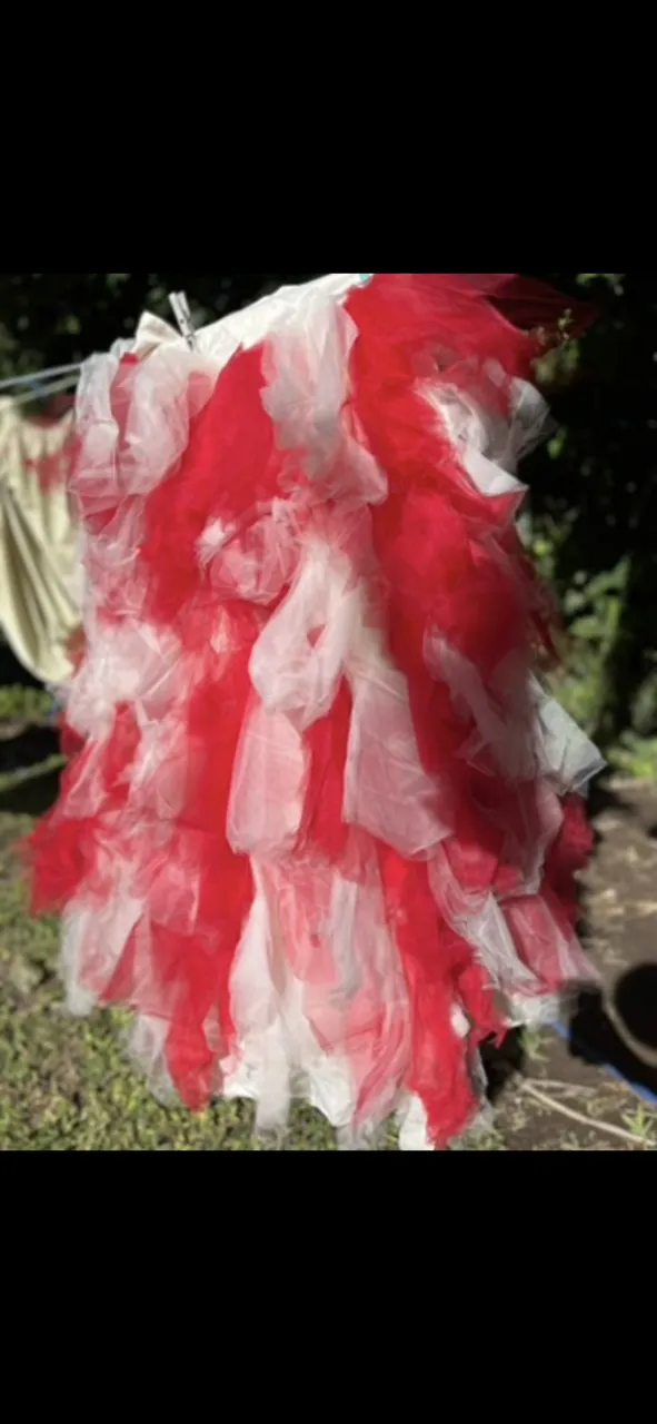 Pollera Aa - imagen 1