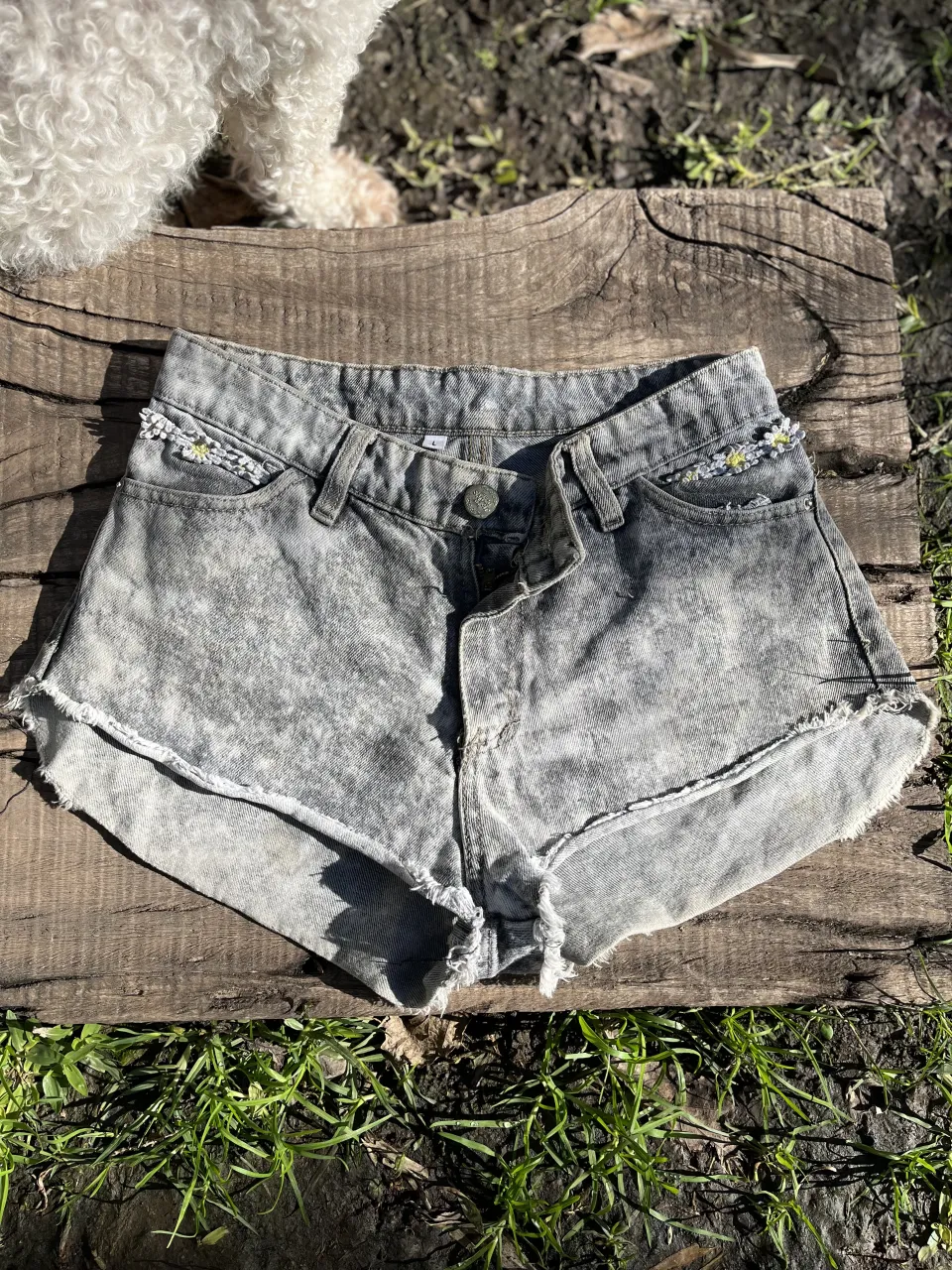 Short Aa - imagen 1