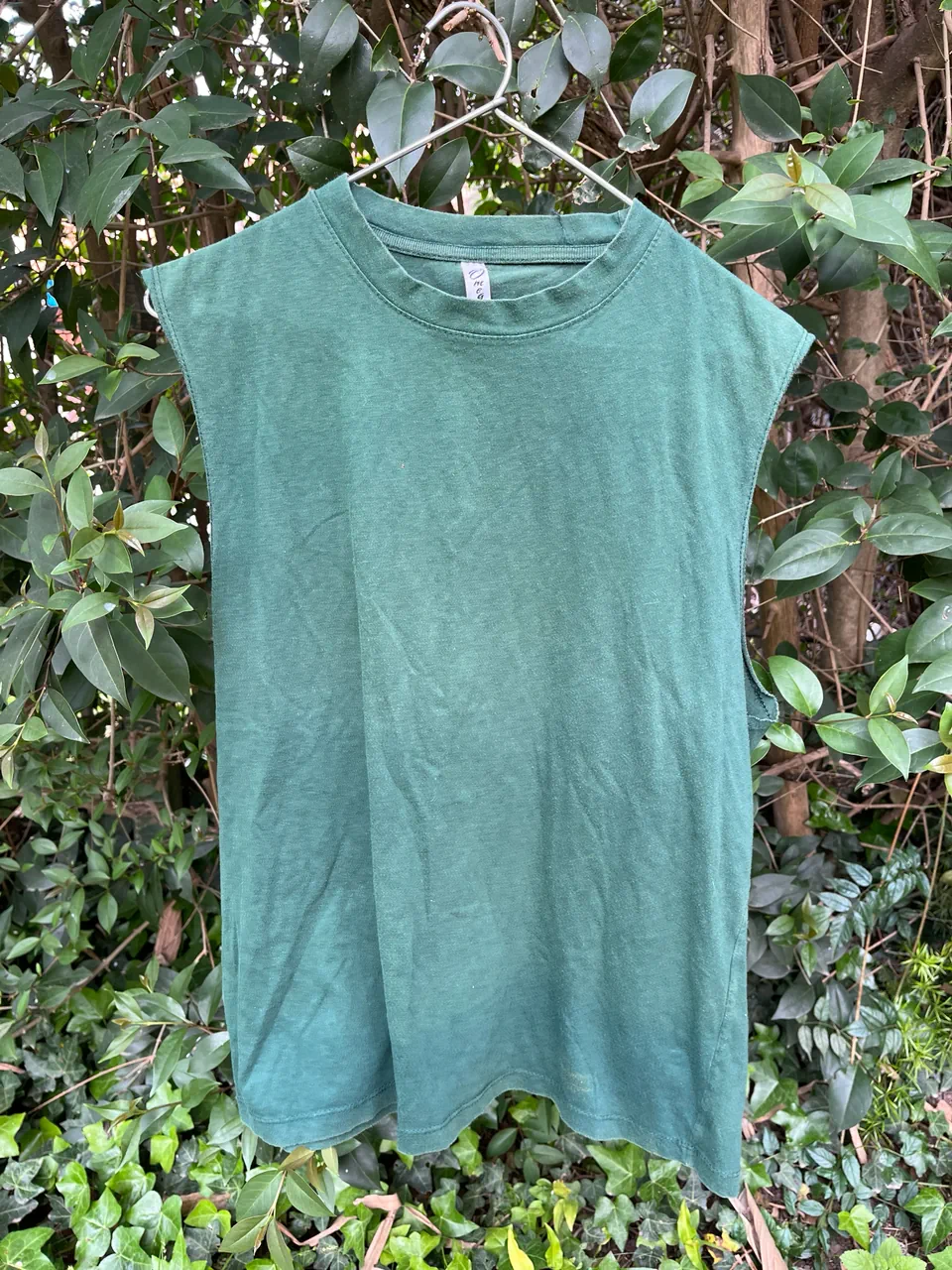 Musculosa Aa - imagen 1