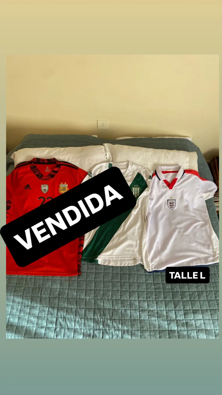 Camiseta Falcon - imagen 1