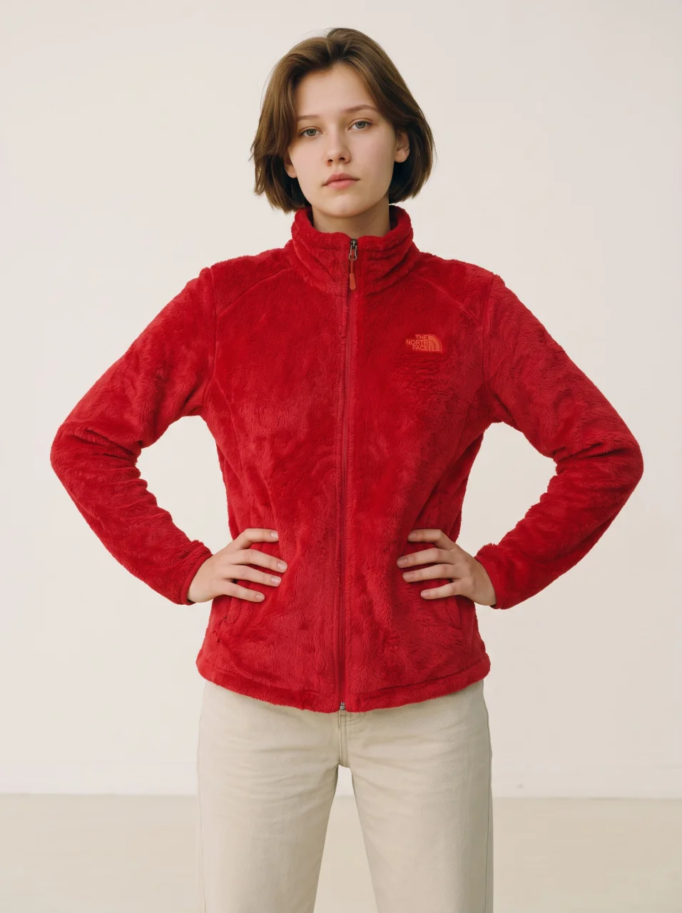 Campera The North Face - imagen 1