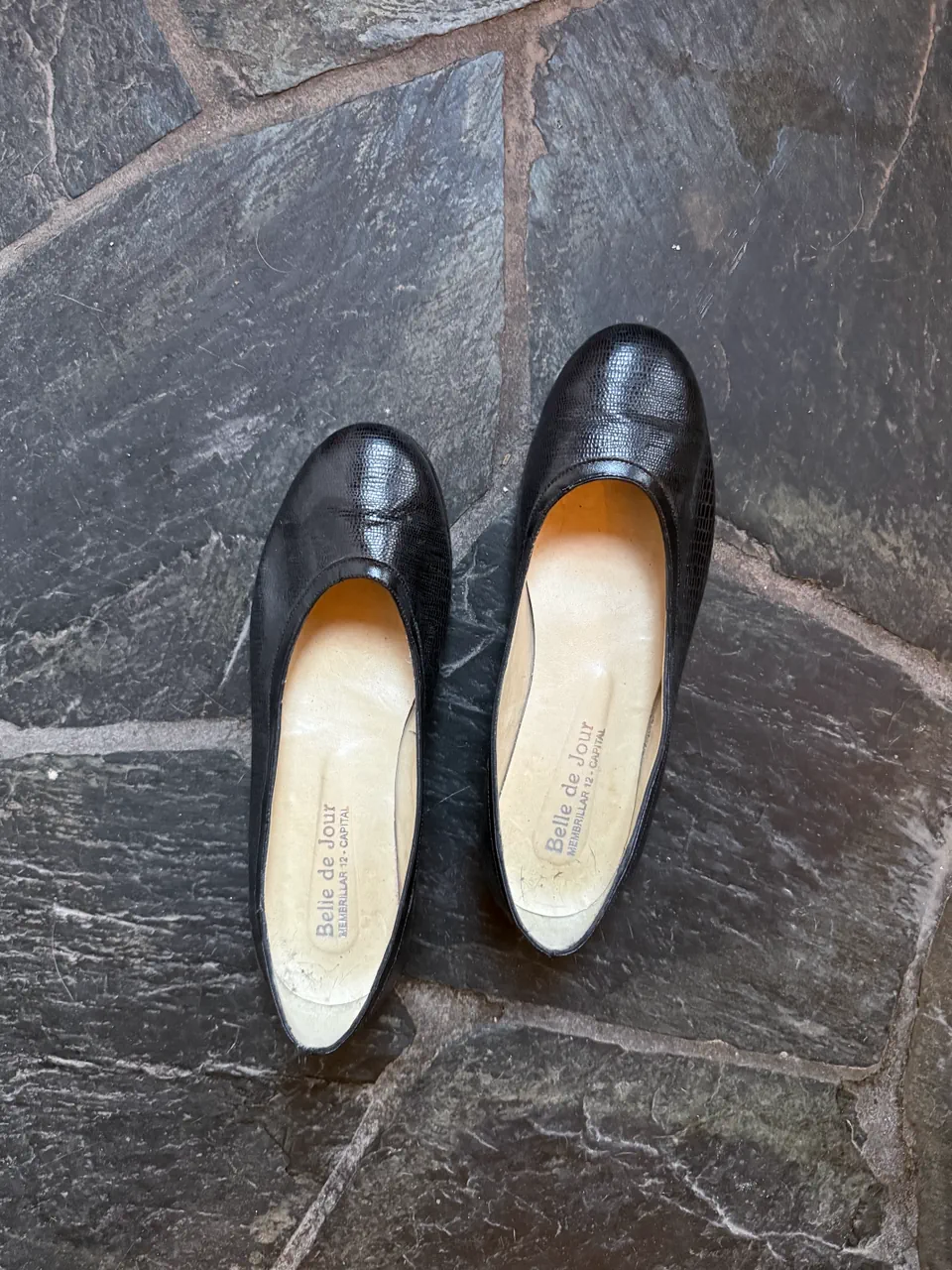 Ballerinas Vintage - imagen 1