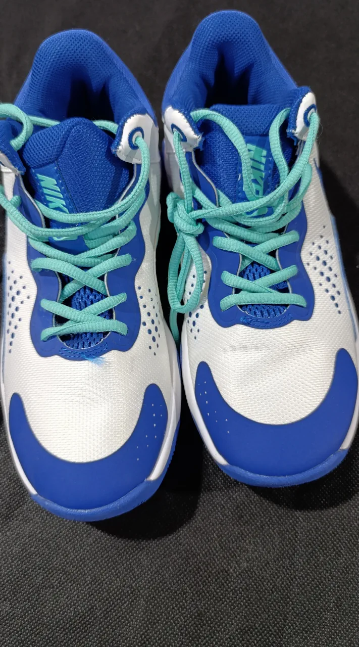 Zapatillas Nike - imagen 1