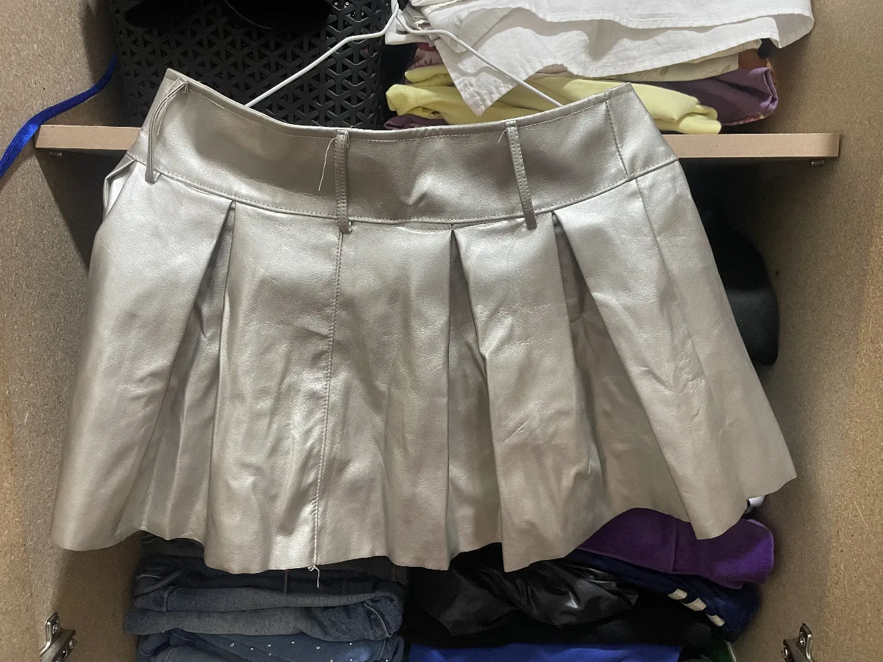 Pollera Sin ropa - imagen 1