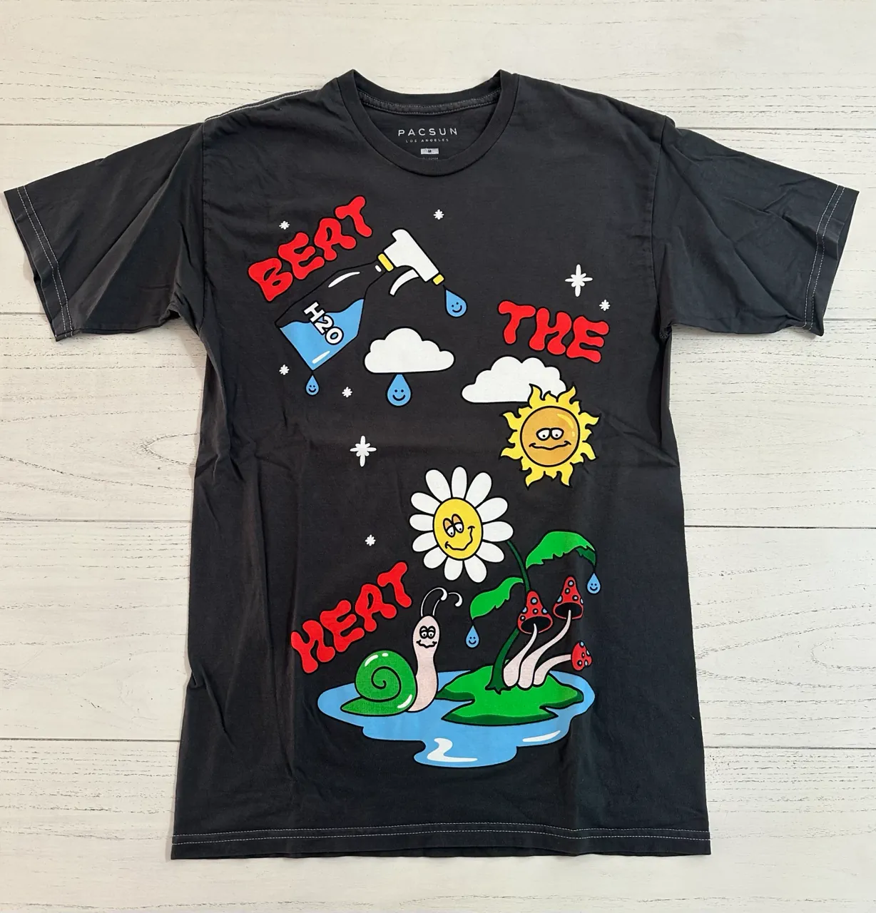 Remera Pacsun - imagen 2