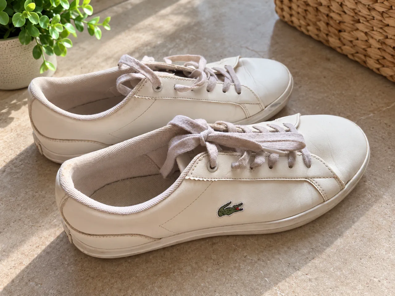 Lacoste · Talle EU 37