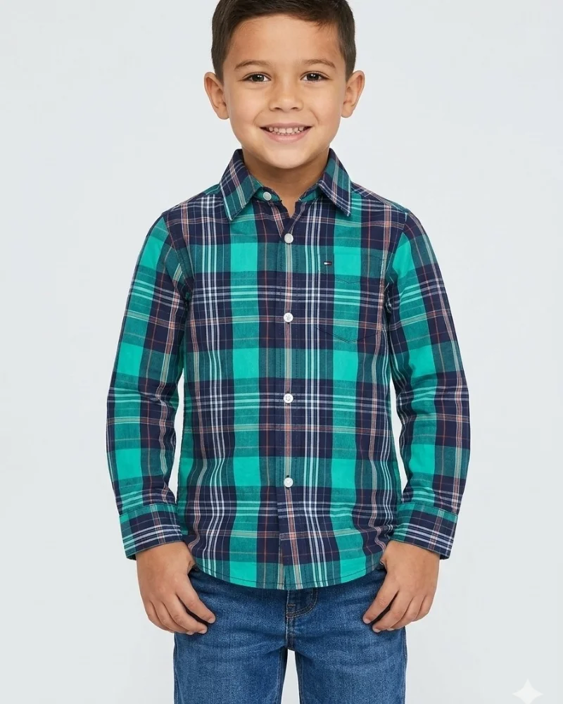Camisa manga larga Tommy Hilfiger - imagen 1