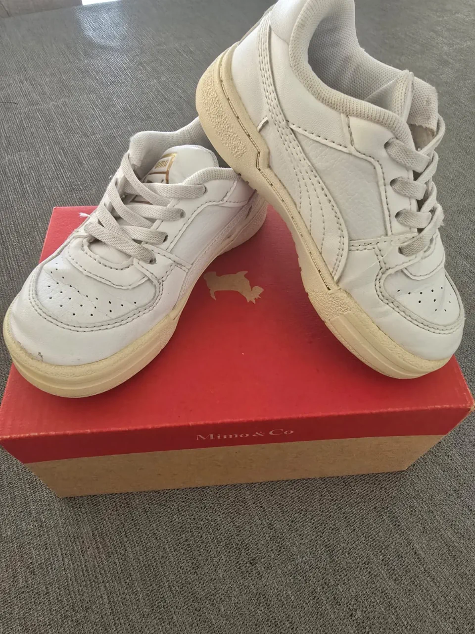 Puma · Talle AR 24