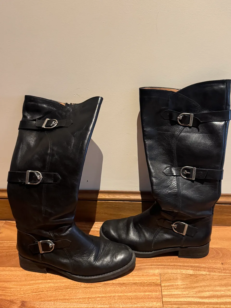 Woodland · Talle AR 37