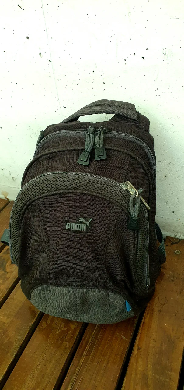 Puma