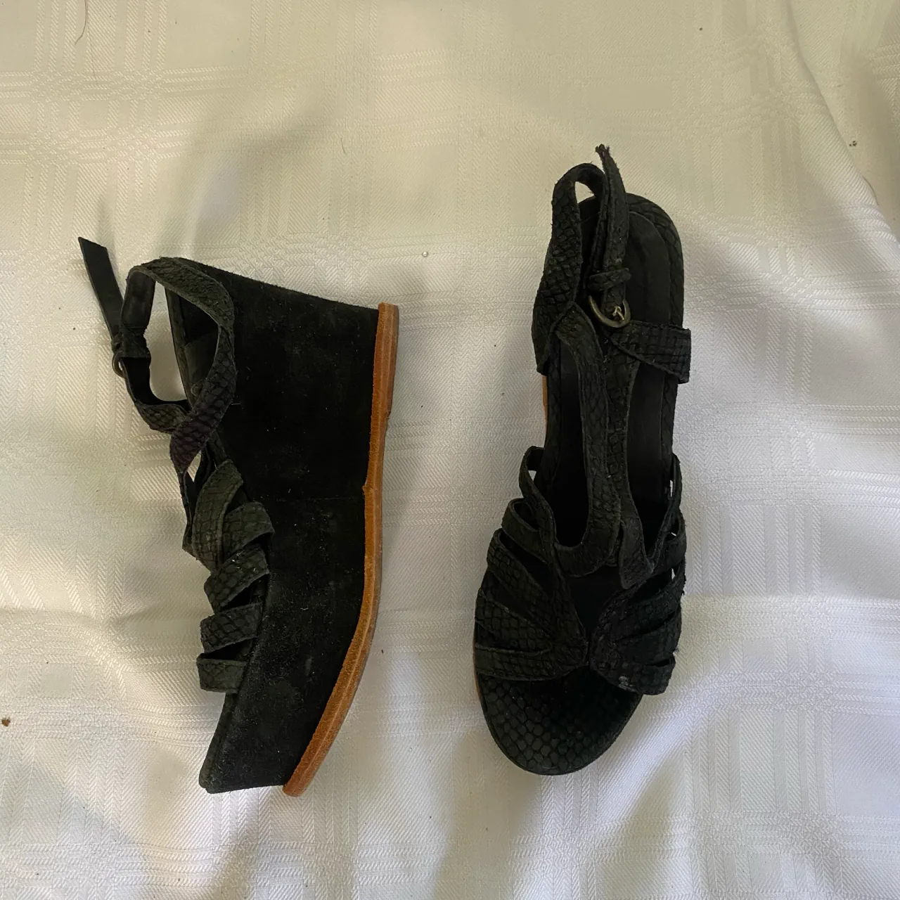 Sarkany · Talle AR 36