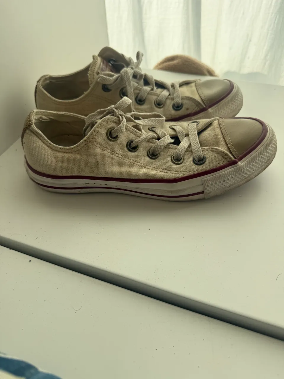 Converse · Talle US 5.5