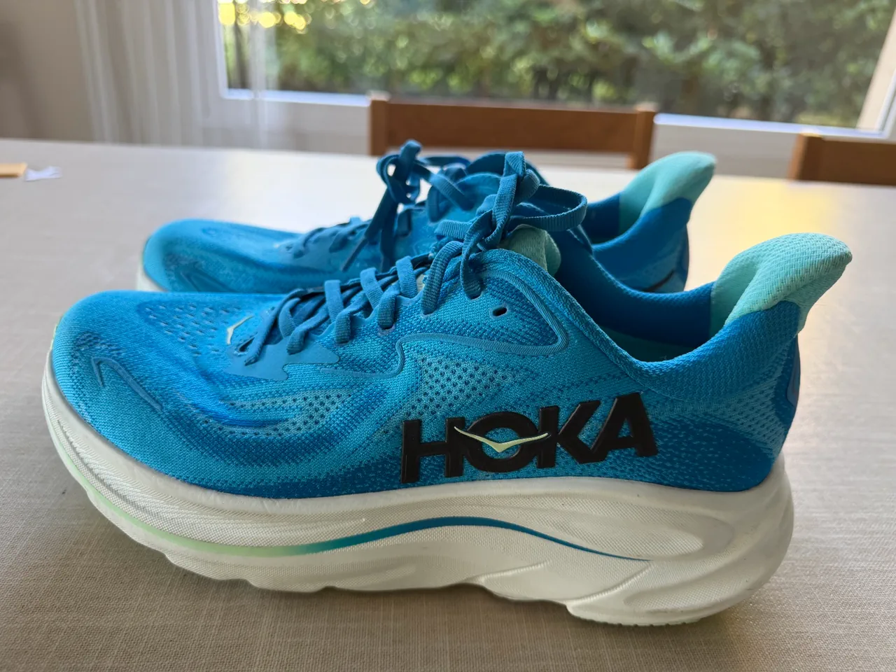 Hoka · Talle US 10