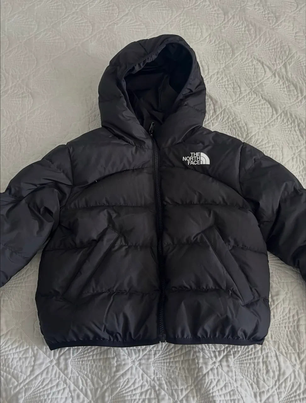 Campera The North Face - imagen 1