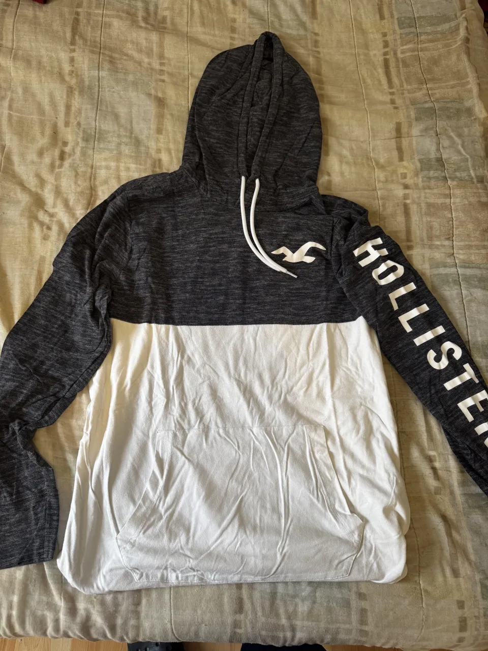 Hollister · Talle L