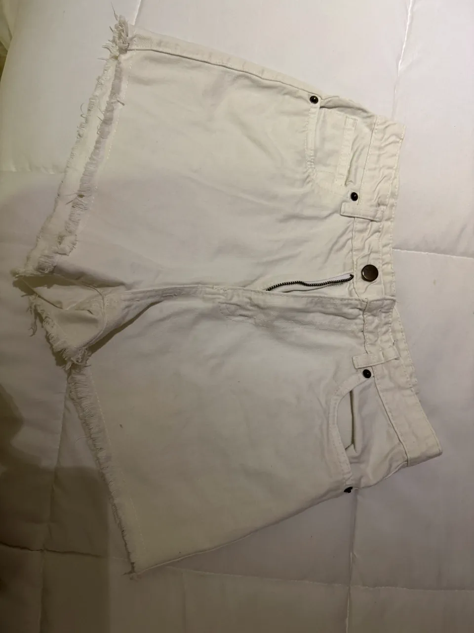 Short Basicos - imagen 1