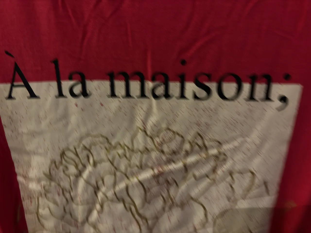 Remera Sin marca - imagen 1