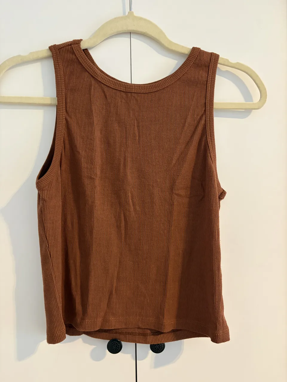 Musculosa Cavia - imagen 1