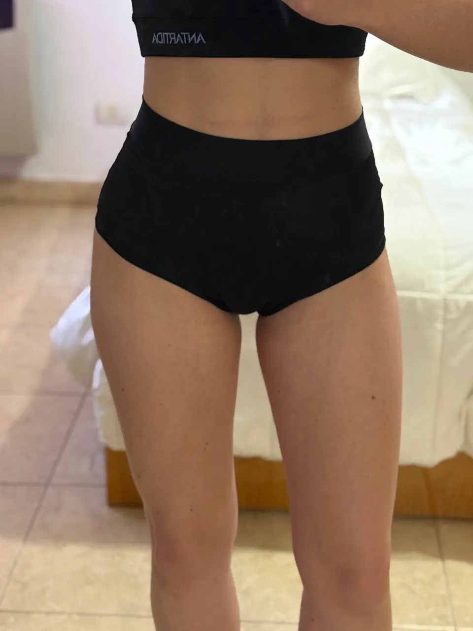 Short Verbena - imagen 1