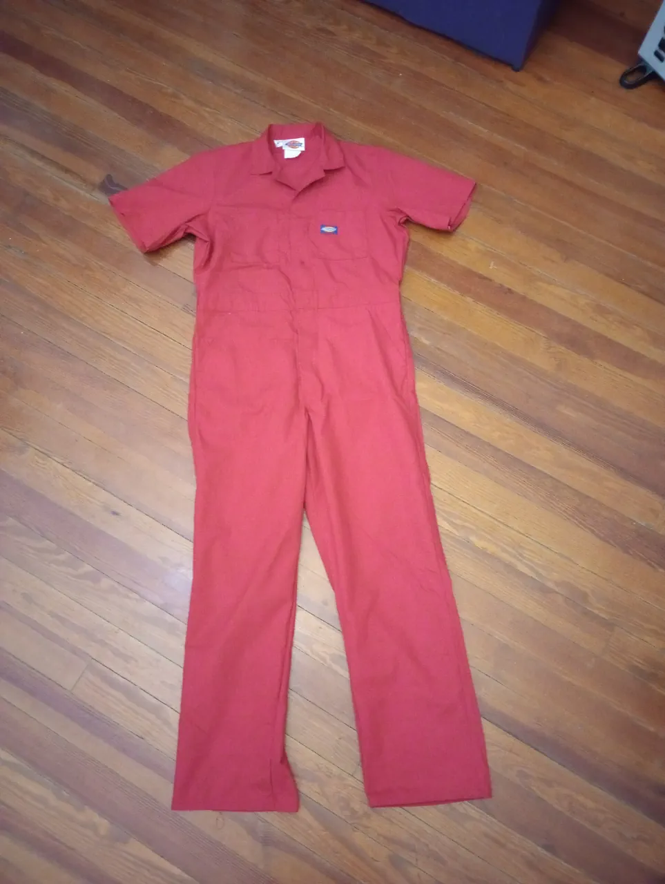 Mono Dickies - imagen 1