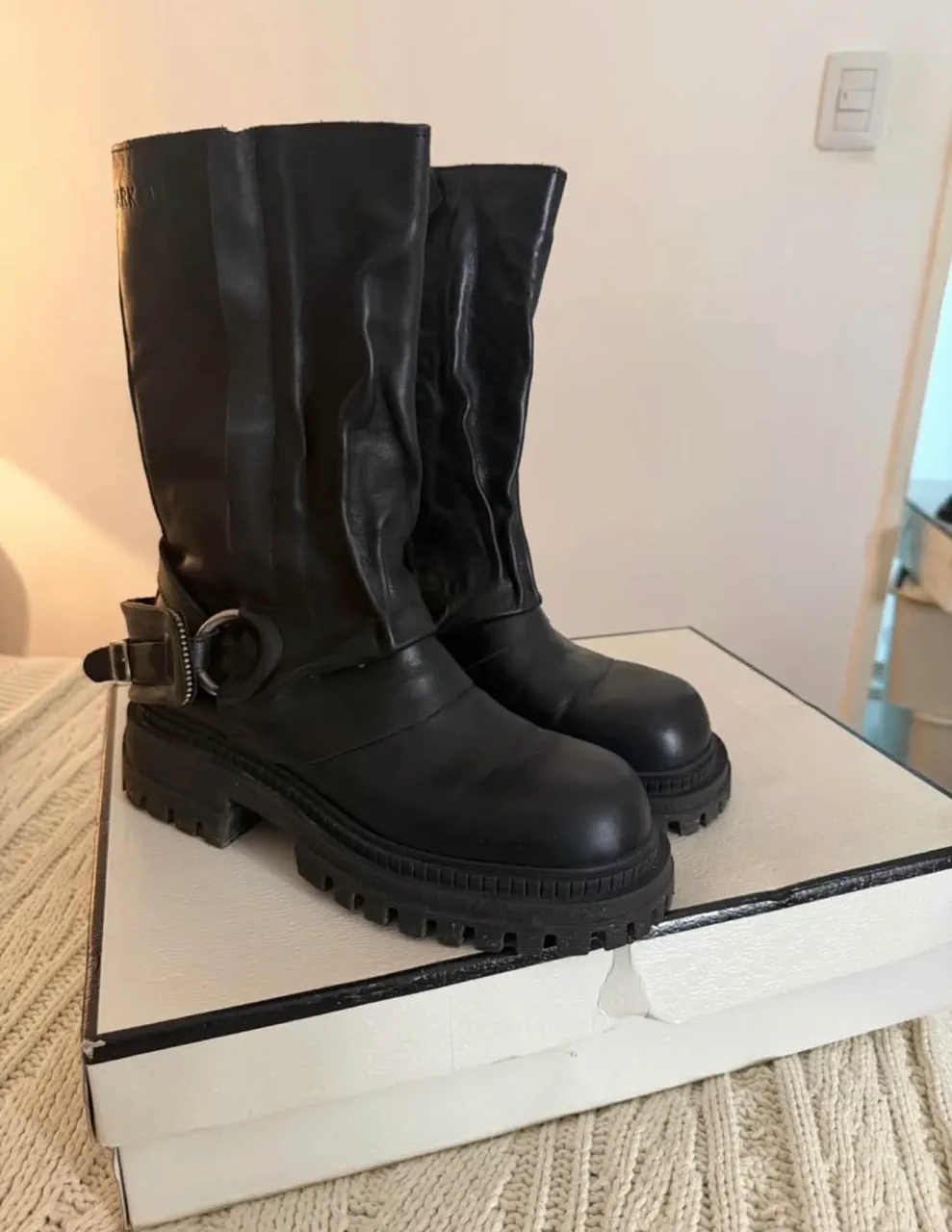 Sarkany · Talle AR 37