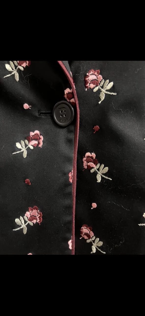 Blazer Ayres - imagen 1