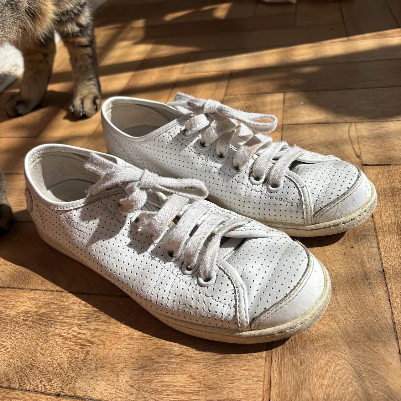 Camper · Talle EU 37