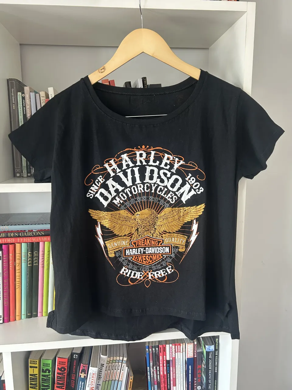 Remera Harley Davidson - imagen 1