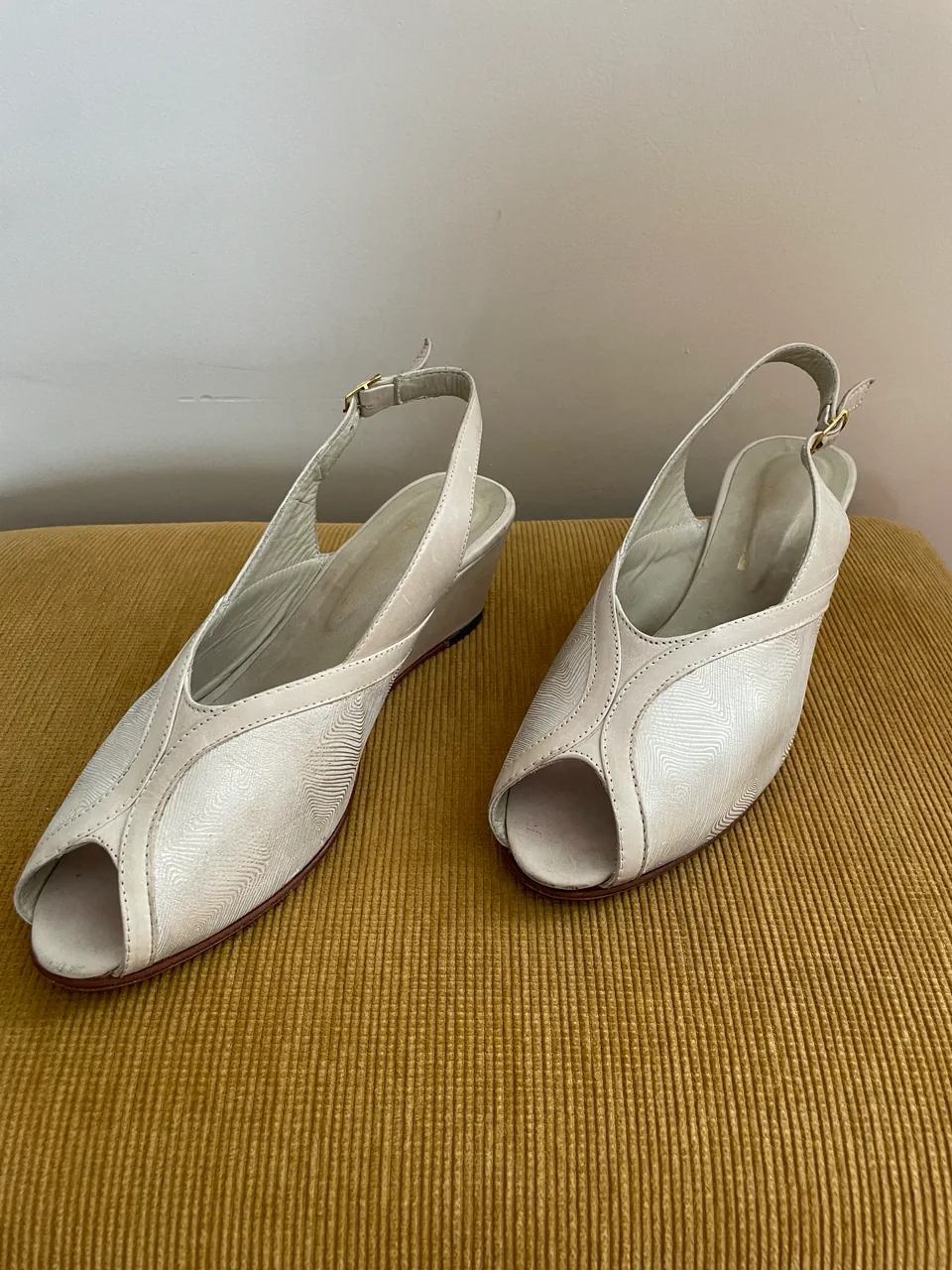 Angellini · Talle AR 40