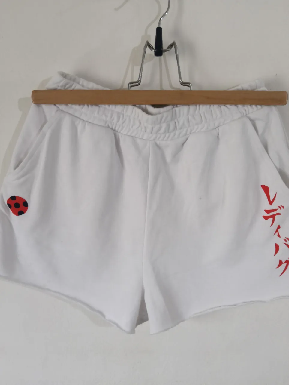 Short Miraculous - imagen 1