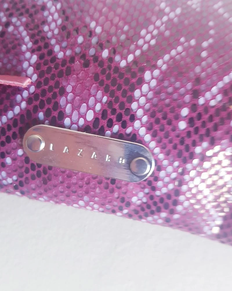 Cartera Lázaro - imagen 1