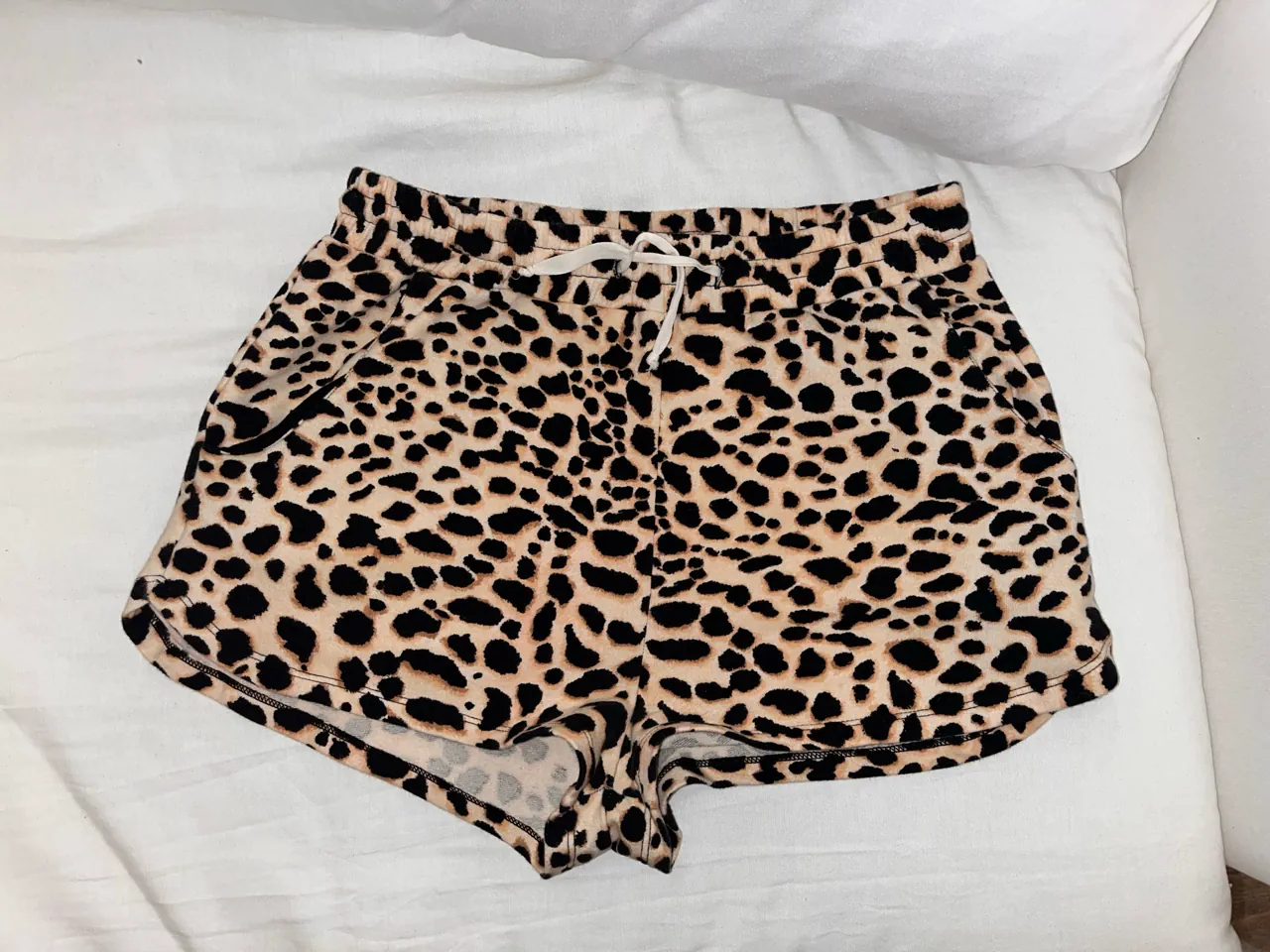 Short Ayres - imagen 1